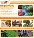 Rubbish Removal Services Corrimal | Dingo's Tree logo